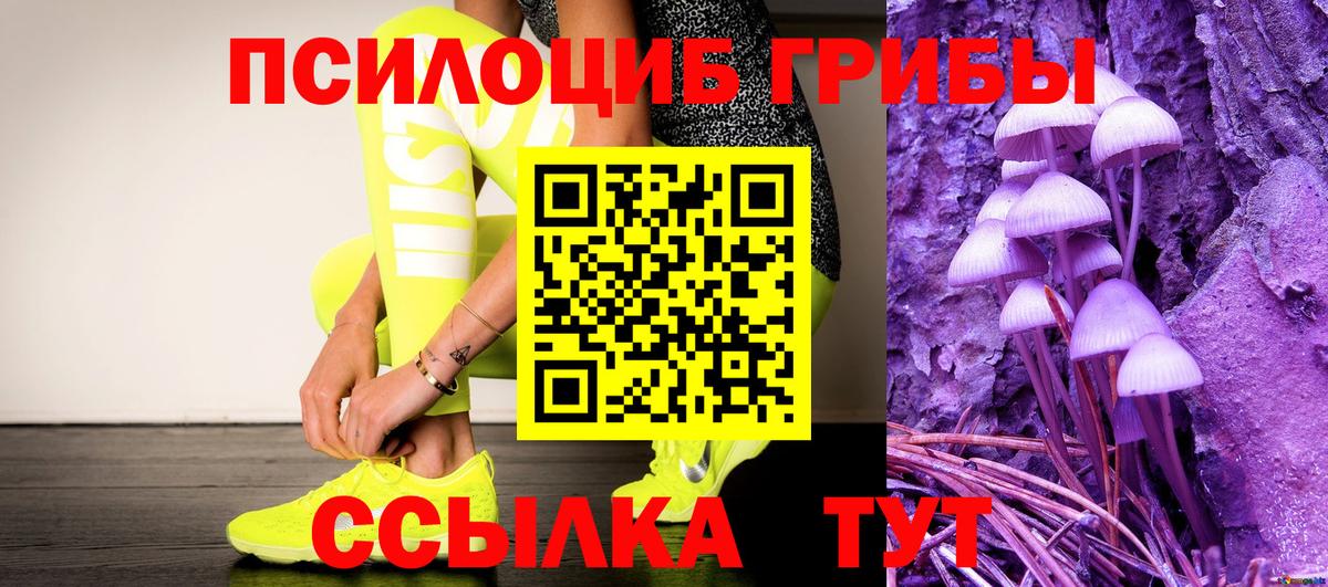 Галлюциногенные грибы Psilocybine cubensis  Вход с VPN  Сочи 